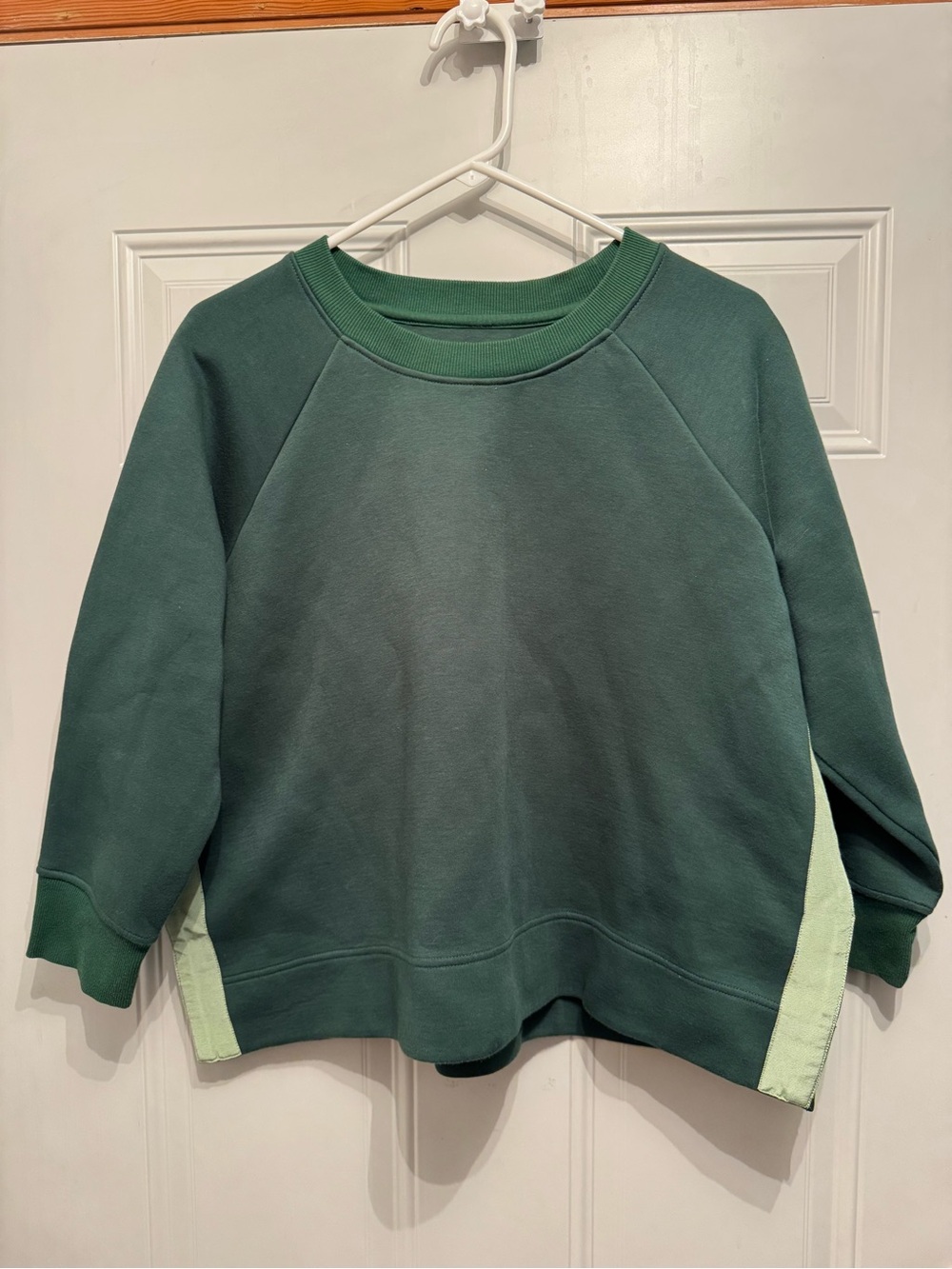 Tuckernuck Dark Green crewneck Sweatshirt Mint side ribbon size LG